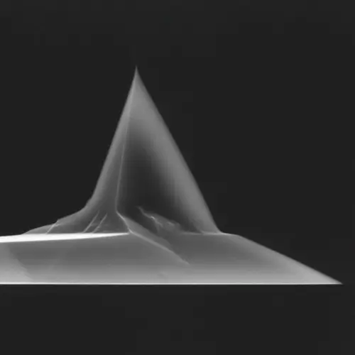 AFM Standard